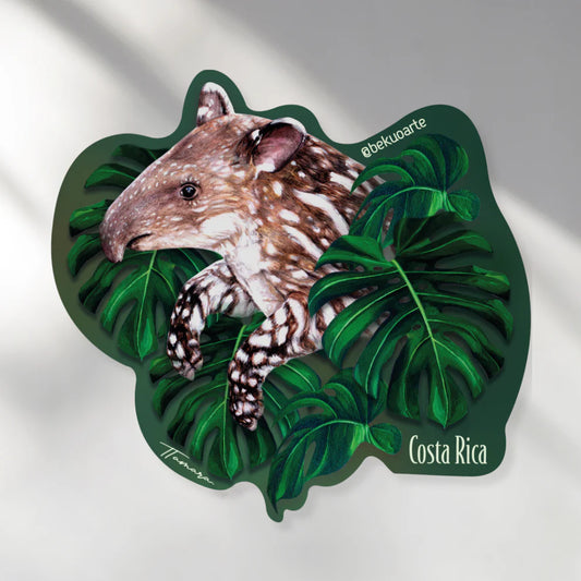 Danta | Bekuo