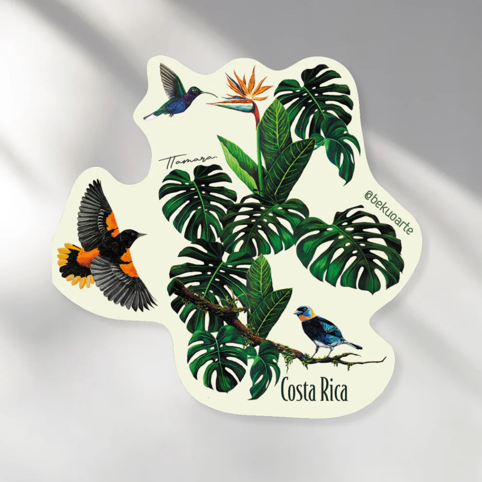 Jardín Tropical | Bekuo