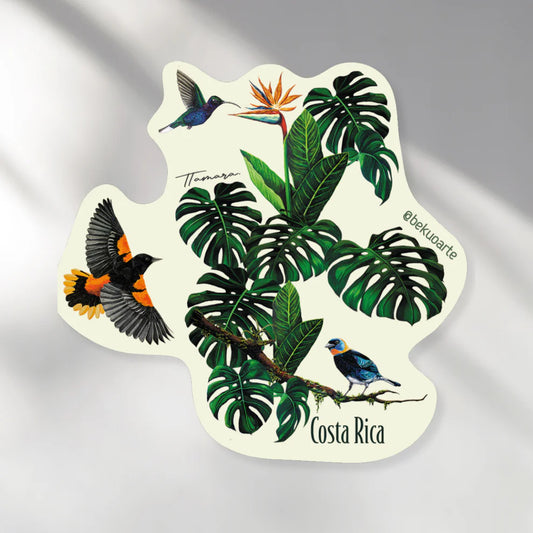 Jardín Tropical | Bekuo