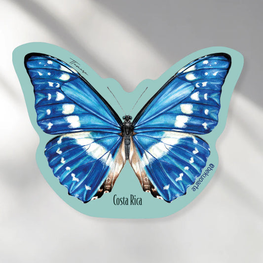 Morpho | Bekuo